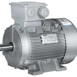 Motor IP55  6 polos  1000 rpm  IMB3  FS=1.1  2.2kW / 3CV  ta