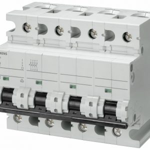Interruptor Termomagnetico (PIA)  In:80A  Icn:10kA  Curva C